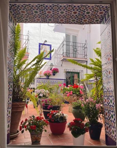 Hostal Enriqueta Marbella Zewnętrze zdjęcie
