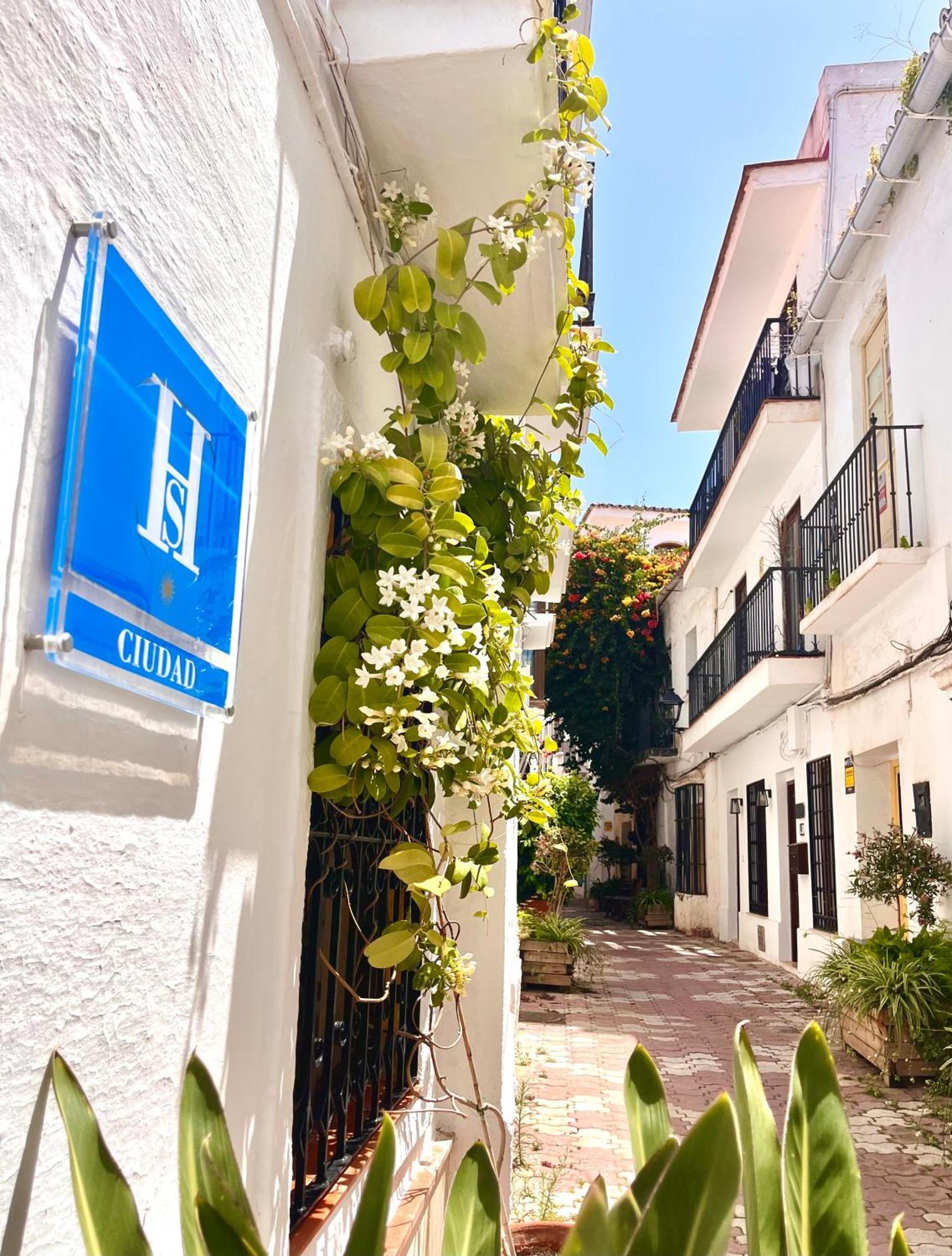 Hotel Hostal Enriqueta Marbella Zewnętrze zdjęcie