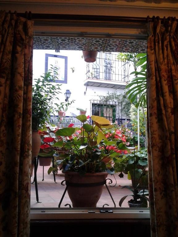 Hostal Enriqueta Marbella Zewnętrze zdjęcie